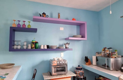 Colonia Independencia Apartamento | Garden ArtSpace pets ok 1.5bdrm w/ Alexa, bicycles, shared pool & grill, wifi