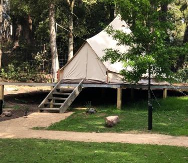 Blackwood Otro | Garden Beds Glamping