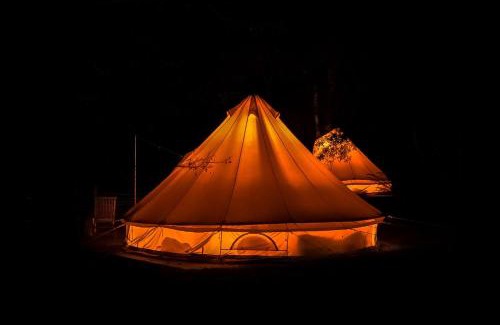 Blackwood Otro | Garden Beds Glamping