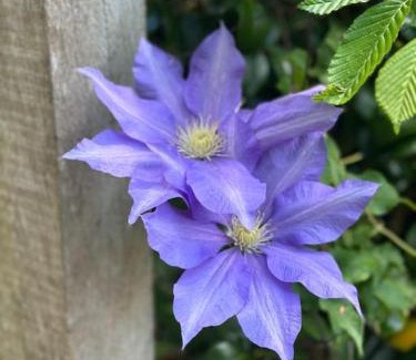 Hambleden Casa | Garden Cottage