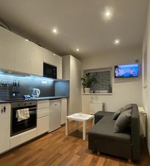 Kralupy nad Vltavou Apartamento | Garden house on the Vltava riverbank 15 min to Prague
