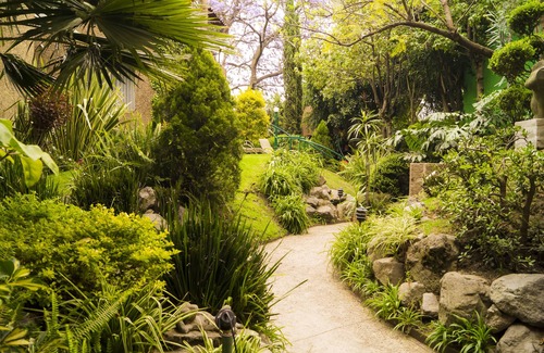 Coyoacan Apartamento | CASA DE JARDÍN, BIENVENIDOS AL BARRIO DE SAN ANGEL