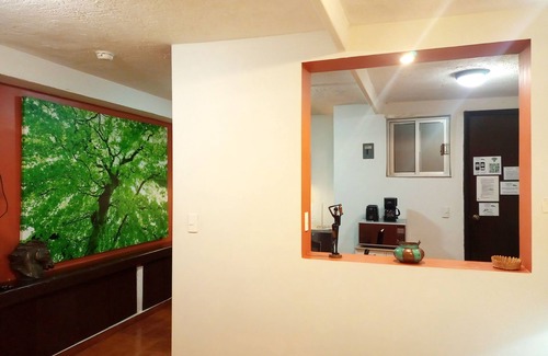 Campestre Casa | Garden House Welcome to San Ángel