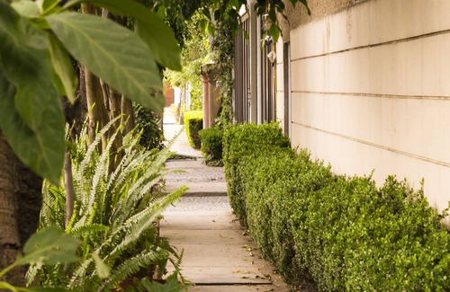 Coyoacan Apartamento | CASA DE JARDÍN, BIENVENIDOS AL BARRIO DE SAN ANGEL