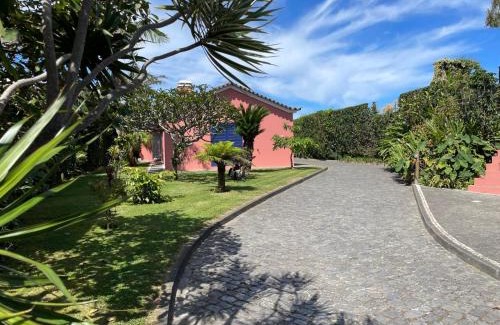 Ribeira Grande Apartamento | Garden Loft