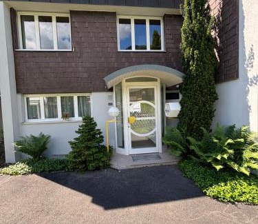 Central Interlaken Casa | Garden Park Apartment