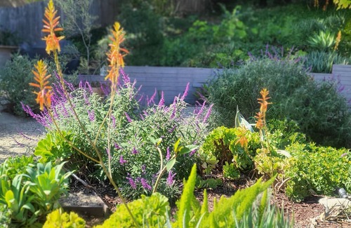 Woodland Hills Cabaña | Garden Retreat