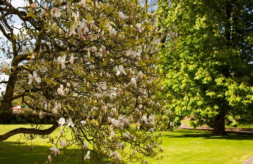Pembroke Cabaña | Gardeners Cottage - sleeps 4 guests in 1 bedroom