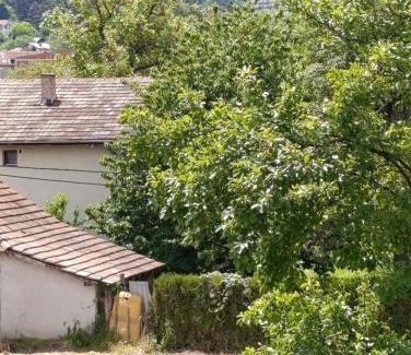 Soko Banja Apartamento | Garfield Family Studio 2