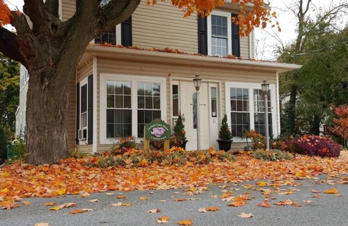 Luray Apartamento | Garfield Guest House - Suite Stonyman