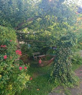 Pirot Apartamento | Garičkina kuća