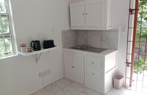 Kingstown Apartamento | Garifuna Retreat Apartment