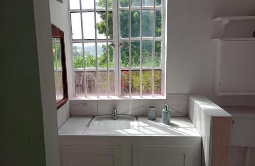 Kingstown Apartamento | Garifuna Retreat Apartment