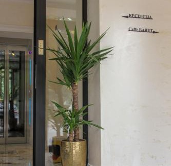 Sabac Hotel | Garni hotel BARUT