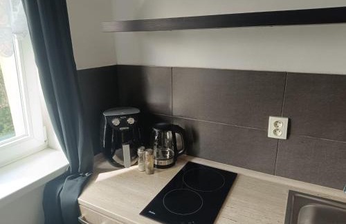 Ostrava City Centre Apartamento | Garsoniéra za Bezručem