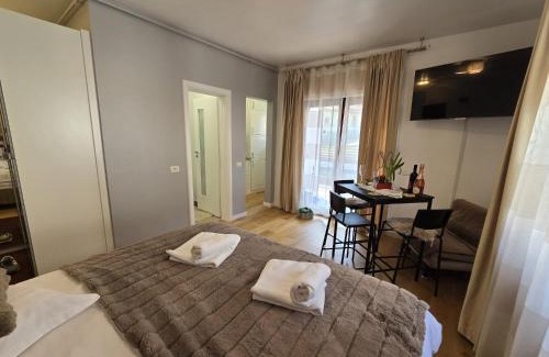 Sinaia Apartamento | Garsonieră La Mănăstire