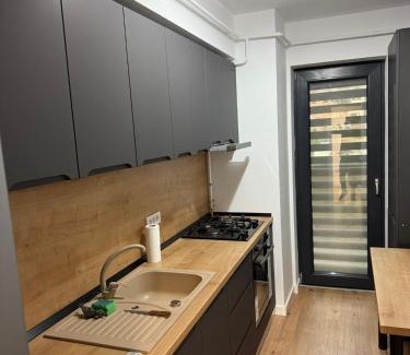 Ramnicu Valcea Apartamento | Garsonieră Park Residence Râmnicu Vâlcea