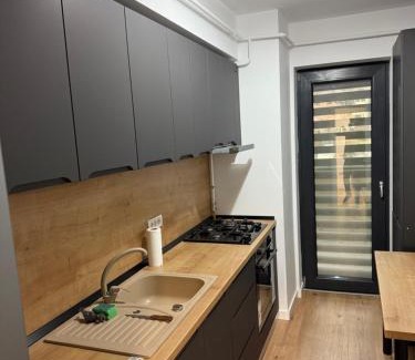 Ramnicu Valcea Apartamento | Garsonieră Park Residence Vâlcea
