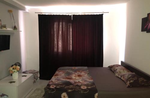 Baile Herculane Apartamento | Garsoniera Aleea Trandafirilor