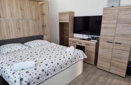 Decin Apartamento | Garsoniera DUKLA 289