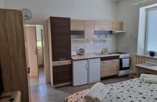 Decin Apartamento | Garsoniera DUKLA 289