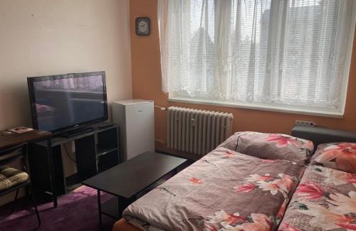 Horni Slavkov Apartamento | Garsoniera U lesoparku