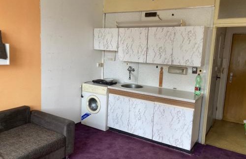 Horni Slavkov Apartamento | Garsoniera U lesoparku