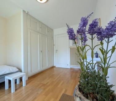 Goeppingen Casa | Gartenoase