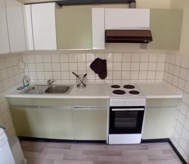 Schwabstedt Apartamento | Gartenoase