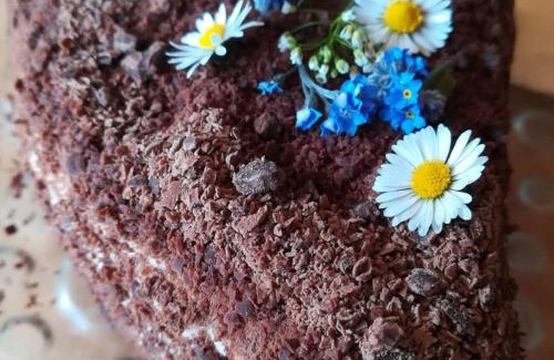 Sankt Kathrein am Offenegg Apartamento | Gartenwohnung auf der Sommeralm