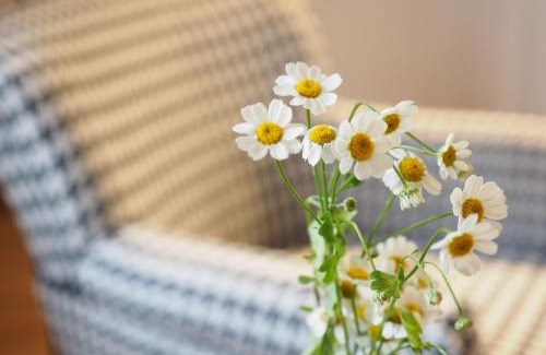 Nehren Hotel | Gasthaus Schwanen