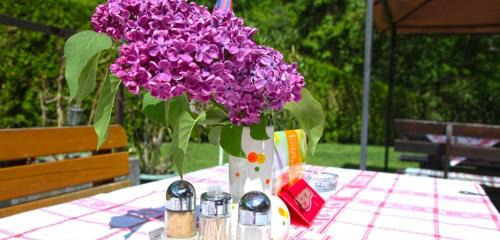 Ligist Hotel | Gasthof Herlwirt