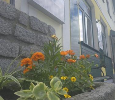 Wesenufer Casa | Gasthof zum Schiffmeister