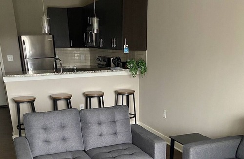 Winston - Salem Apartamento | Gated Downtown 1-bedroom w/free onsite parking/Gym