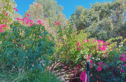 Mount Wilson Casa | Gated Guest Place(private entrance)1 free parking