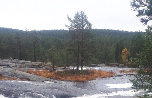 Treungen Casa | Gautefall, Orrebu: cabaña acogedora de alto estándar con jacuzzi y sauna