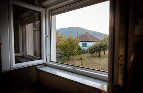 Arandelovac Apartamento | Gavrilovic