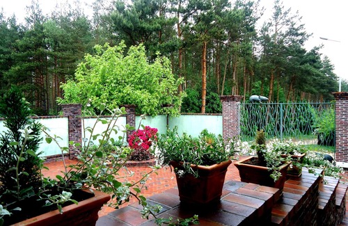 Sulmin Apartamento | Gdansk cerca, justo en la naturaleza