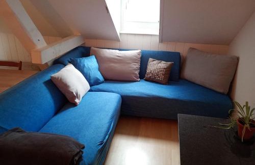 St. Gallen Casa | Gemütliche Dachwohnung