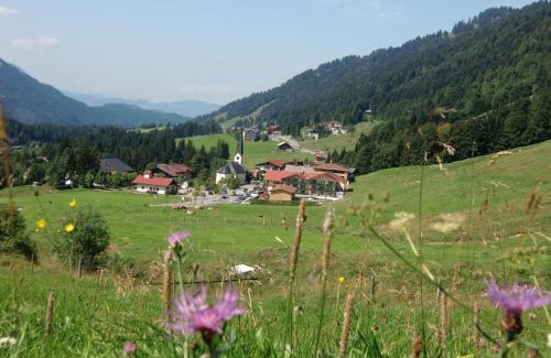 Balderschwang Apartamento | Gemütliche Ferienwohnung Bergwiese, 2-Raum, separates Schlafzimmer, schönen Balkon oder Terrasse, Komfort Ausstattung, ruhige Südlage, kostenfrei WLAN und schöne helle Sauna, Brötchenservice, Parkplatz, Hunde auf Anfrage, E-Tankstelle, Sonnenlage