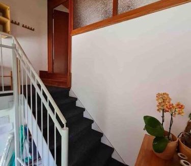Brake Apartamento | Gemütliche Wohnung auf dem Ziegenhof