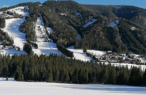 Hohentauern Casa | Gemütliches Ferienhaus mit Holzofen und Sauna
