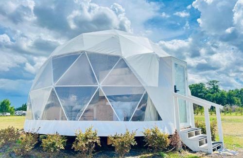 Muldoon Otro | GEO Dome - Flatonia Glamping Retreat & RV Resort
