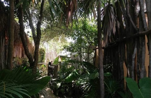 Zona Hotelera Cabina | geo domes at the Tulum jungle, steps from the beach