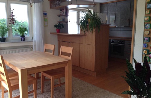 Eriskirch Apartamento | Geräumige Fewo im Grünen mit Großem Überdachten Freisitz