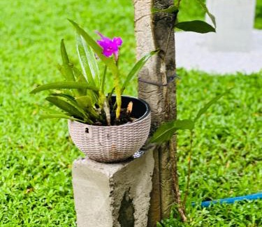 Seeduwa - Katunayake Casa | Gert's Aerovista villa