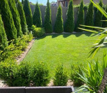 Nyiregyhaza Apartamento | Gerti Apartman 2