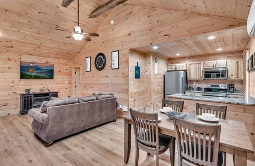 Cosby Cabina | Getaway Cottage, Pickleball Court, Creek, WIFI, Mountain Views, No Cleaning Fee