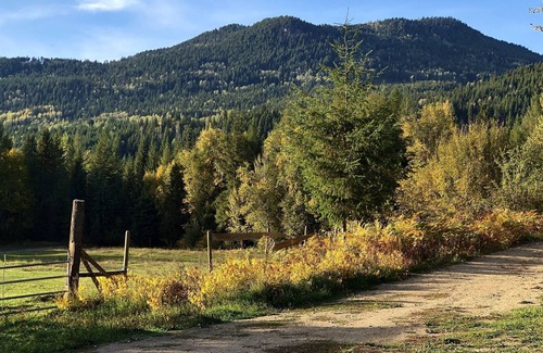 Barriere Cabina | Getaway log cabin on 160 acre Wilderness Ranch