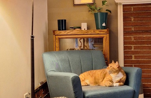 Winston - Salem Casa | Gggggg gggg